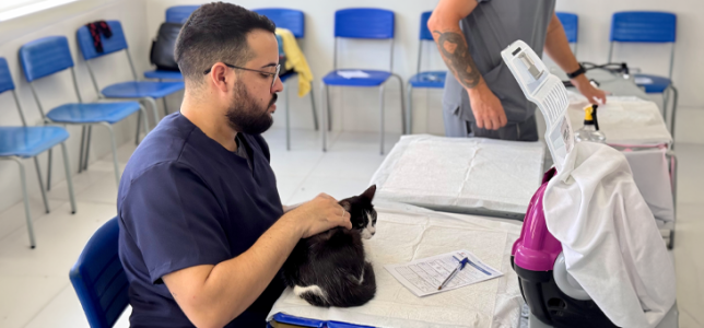 Parceria garante a castração de cerca de 100 gatos em Maxaranguape